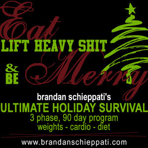 "ULTIMATE HOLIDAY SURVIVAL" Online Program